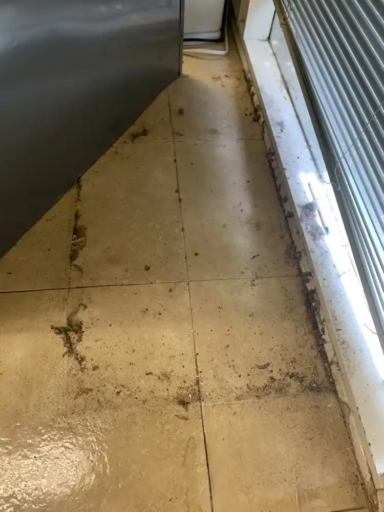 Heavy buildup removal before cleaning