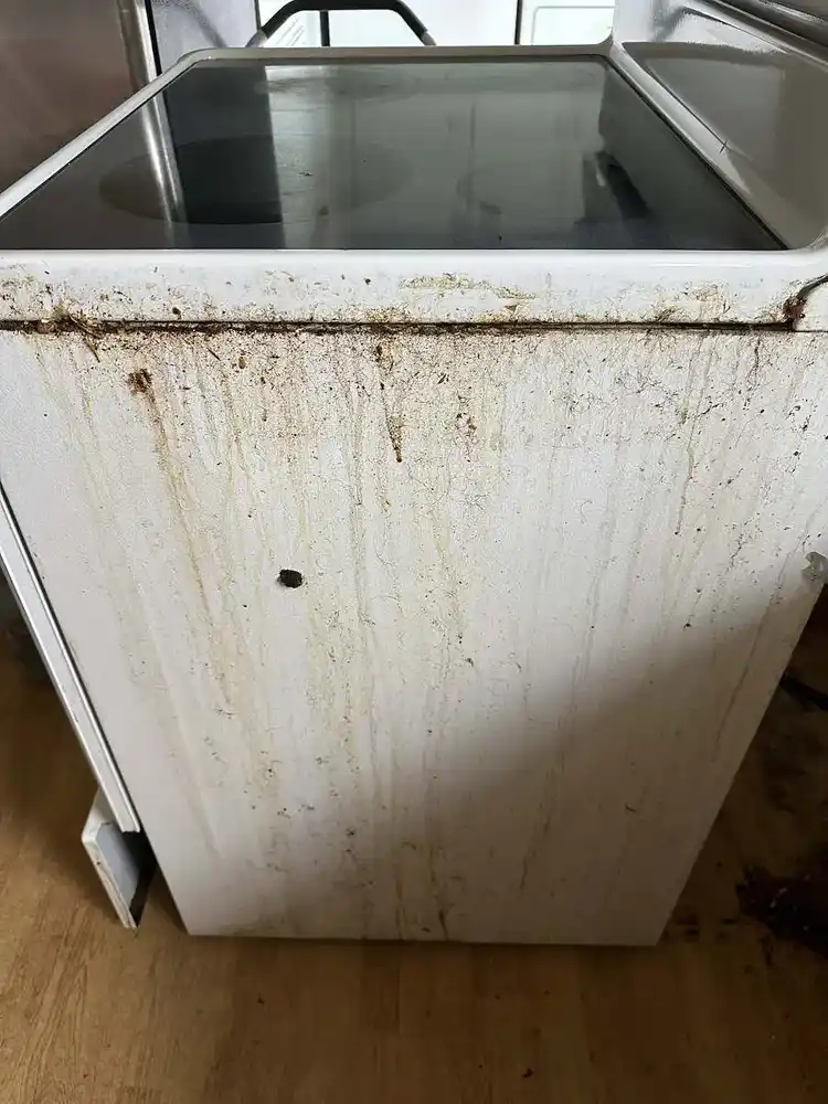 Complete stove exterior detail before cleaning