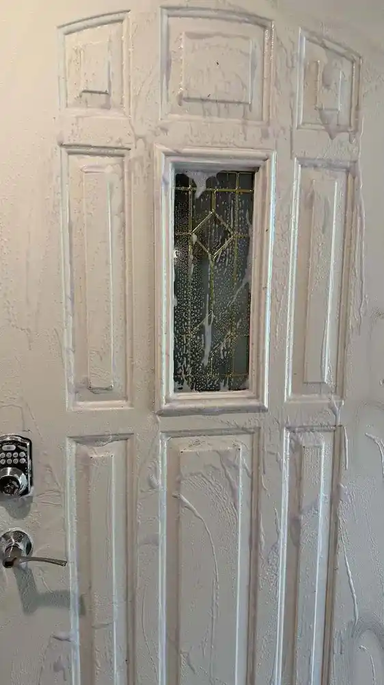 Door detail cleaning before cleaning