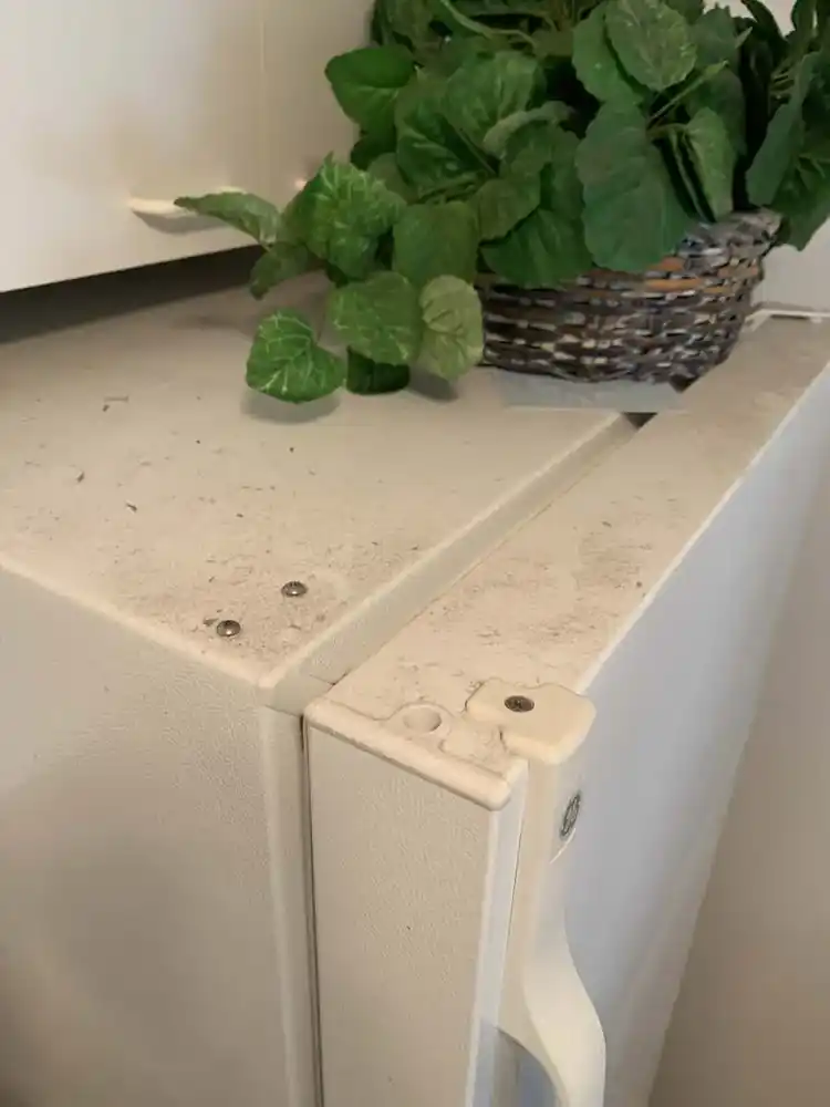 Top-of-refrigerator detail before cleaning
