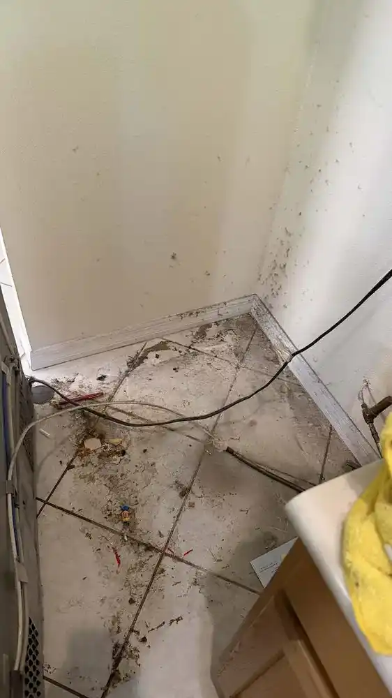 Cleaning under the refrigerator before cleaning