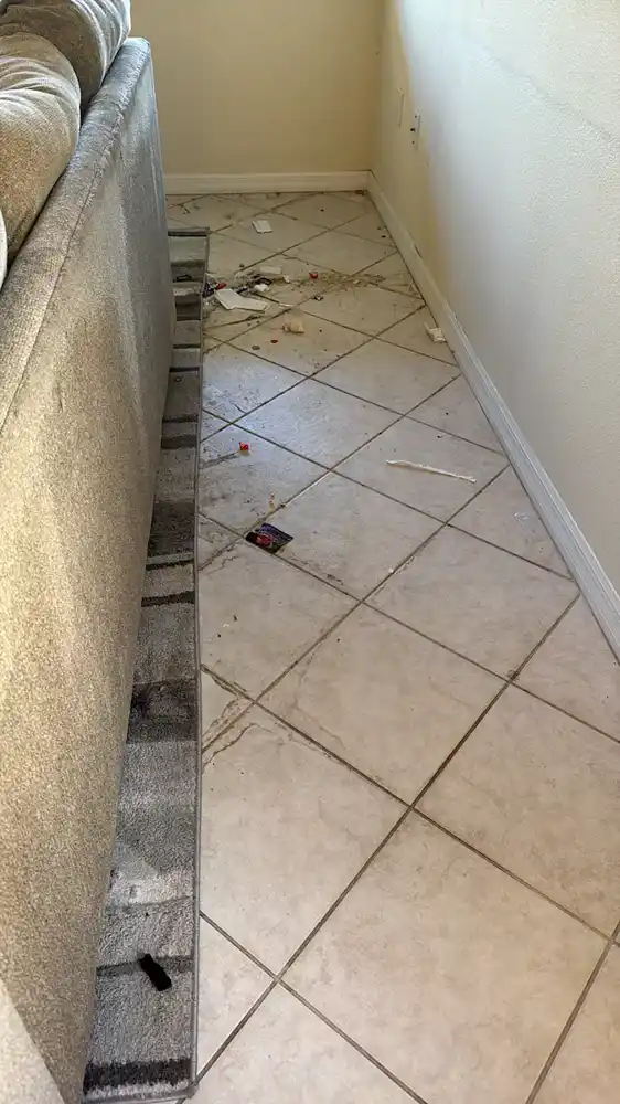 Cleaning beneath the sofa before cleaning