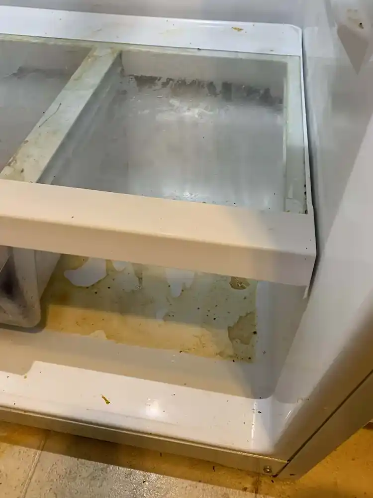 Refrigerator drawer cleaning before cleaning