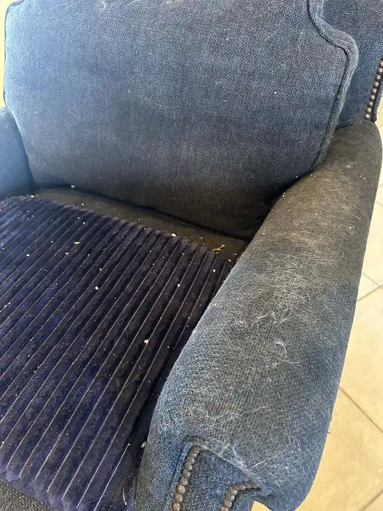 Pet-hair removal before cleaning
